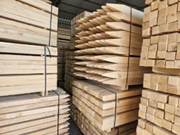 Robinia square posts