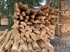 Robinia bar peeled posts